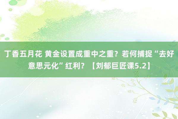 丁香五月花 黄金设置成重中之重？若何捕捉“去好意思元化”红利？【刘郁巨匠课5.2】