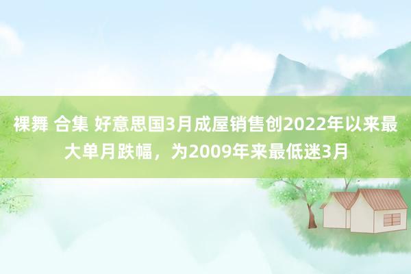 裸舞 合集 好意思国3月成屋销售创2022年以来最大单月跌幅，为2009年来最低迷3月