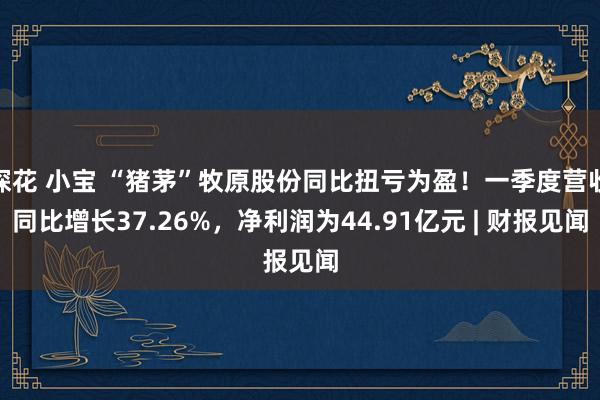 探花 小宝 “猪茅”牧原股份同比扭亏为盈！一季度营收同比增长37.26%，净利润为44.91亿元 | 财报见闻