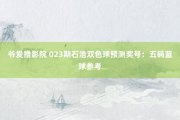 爷爱撸影院 023期石浩双色球预测奖号：五码蓝球参考