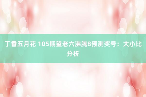 丁香五月花 105期望老六沸腾8预测奖号：大小比分析